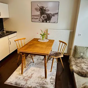 Bergliebe - Wunderschoene In - Stadtmitte Apartment